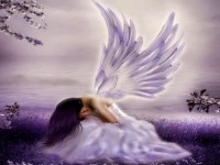 /album/fotogaleria/angel1-jpg/