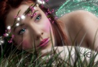 /album/fotogaleria/fairy-317519-jpg/
