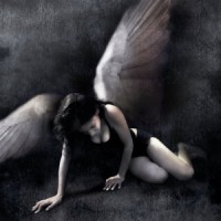 /album/fotogaleria/fallen-angel-jpg/