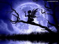/album/fotogaleria/moonlight-fairy-magical-creatures-17284590-1024-768-jpg/