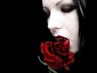 /album/fotogaleria/vampire-jpg/