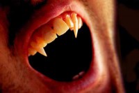/album/fotogaleria/vampire-teeth-jpg/