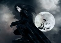 /album/fotogaleria/manofnight2-jpg/